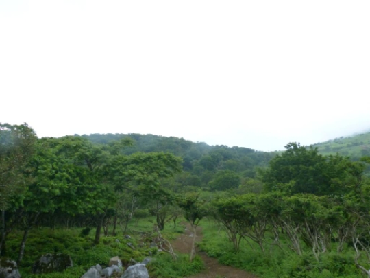 画像16